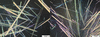 link to html