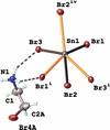 [Figure 1]