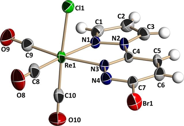[Figure 1]