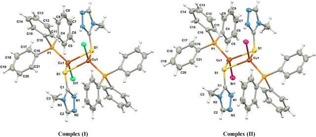 [Figure 1]
