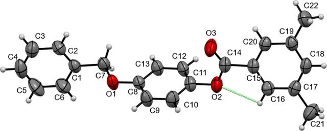 [Figure 1]