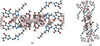[Figure 6]