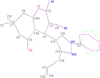 link to html