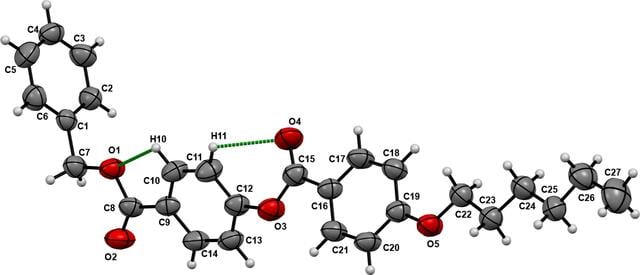 [Figure 1]