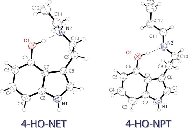 [Figure 1]