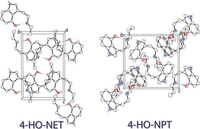 [Figure 2]