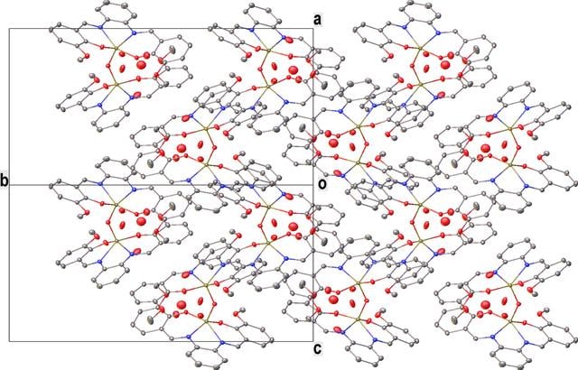 [Figure 5]