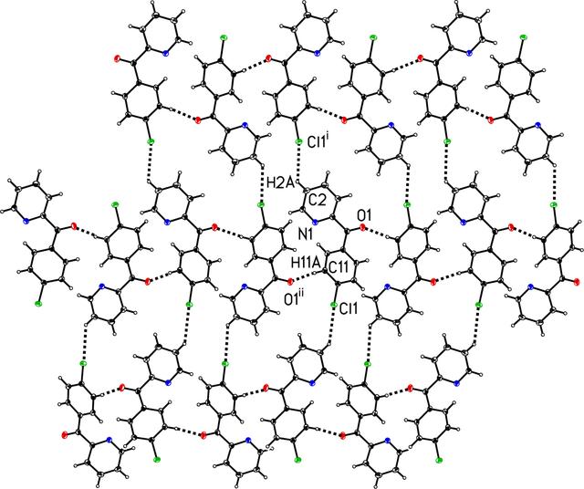 [Figure 2]