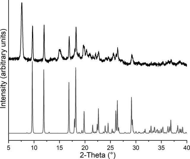 [Figure 6]