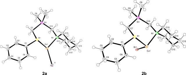 [Figure 1]
