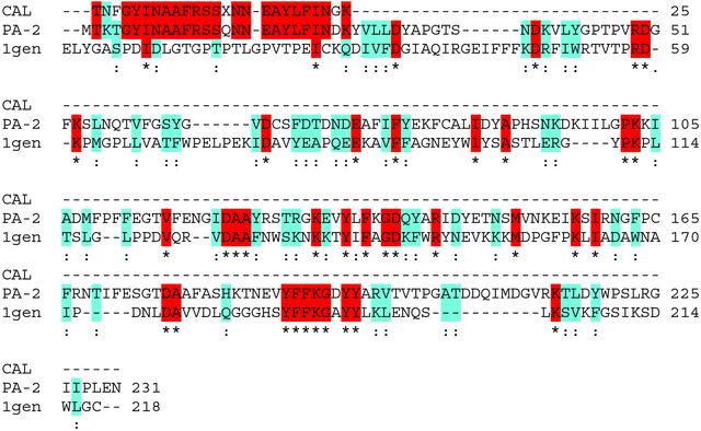 [Figure 2]