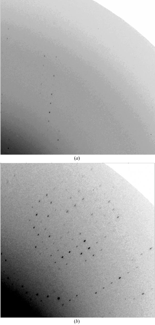 [Figure 2]