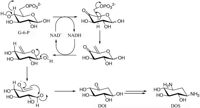 [Figure 1]