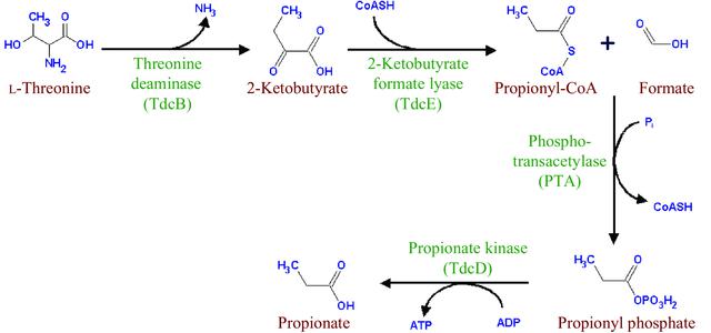 [Figure 1]