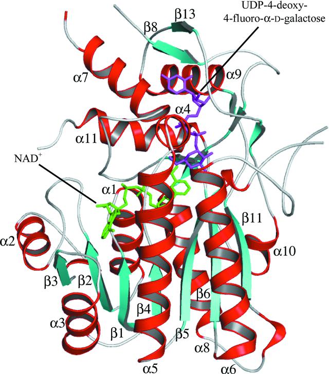 [Figure 3]