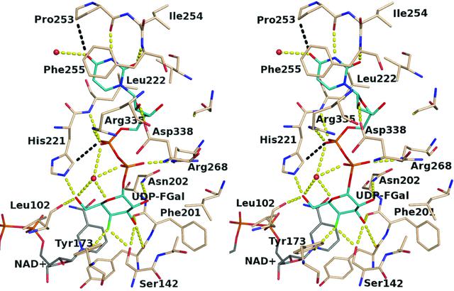 [Figure 4]