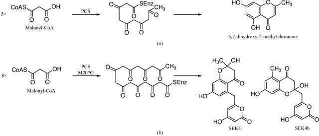 [Figure 1]