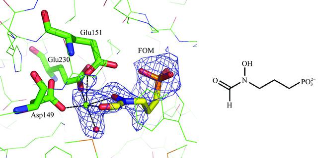 [Figure 4]