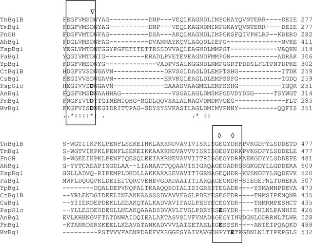 [Figure 1]