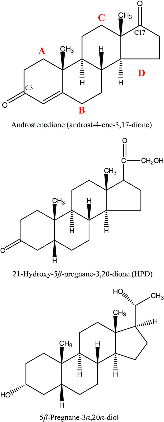 [Figure 1]