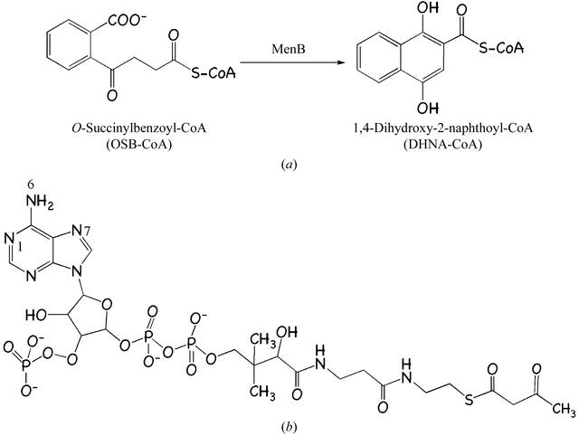 [Figure 1]