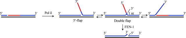 [Figure 1]