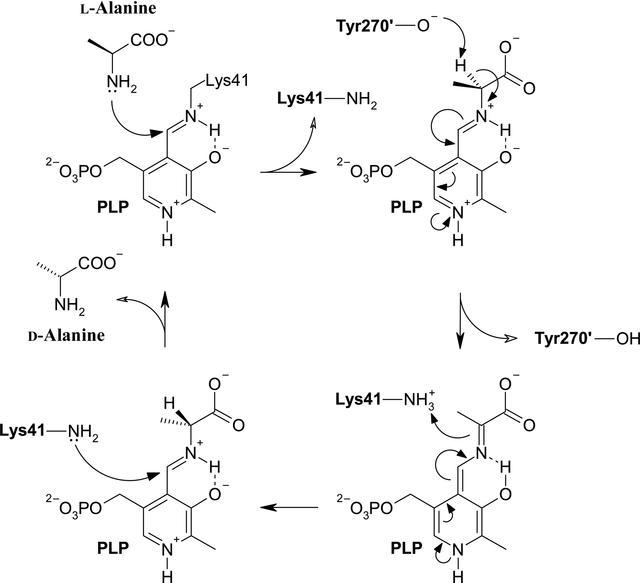 [Figure 1]