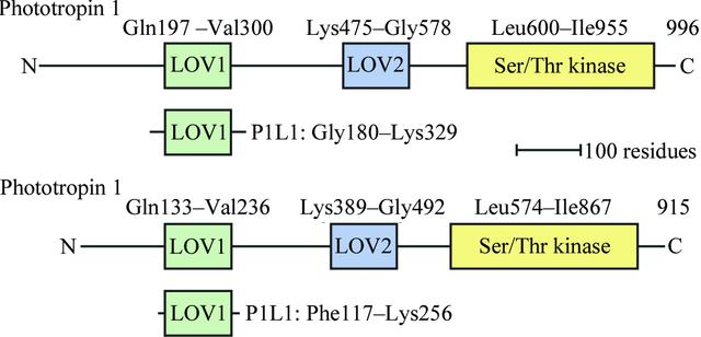 [Figure 1]