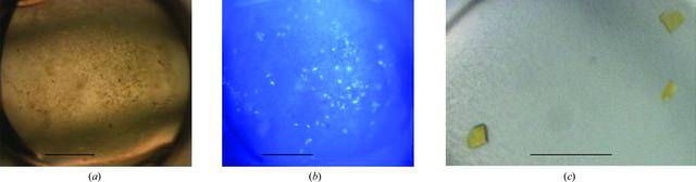 [Figure 2]