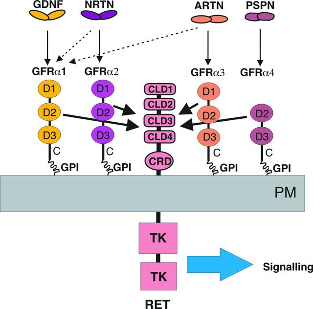 [Figure 2]