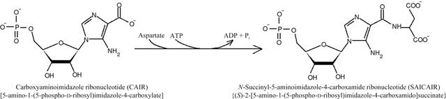 [Figure 1]