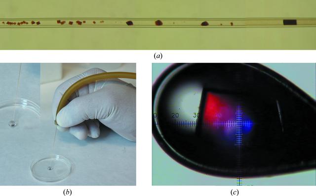 [Figure 1]