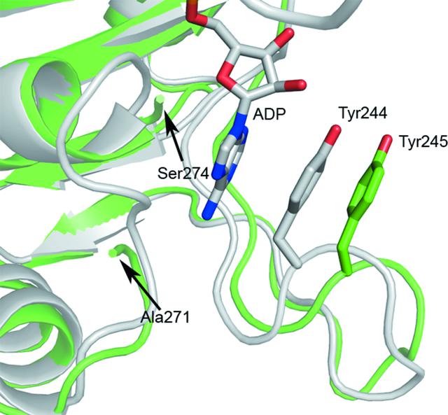 [Figure 4]