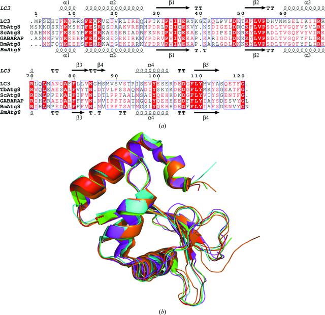 [Figure 2]