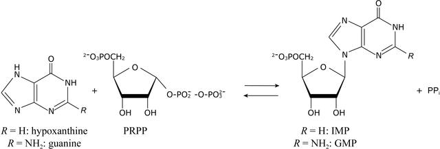 [Figure 1]