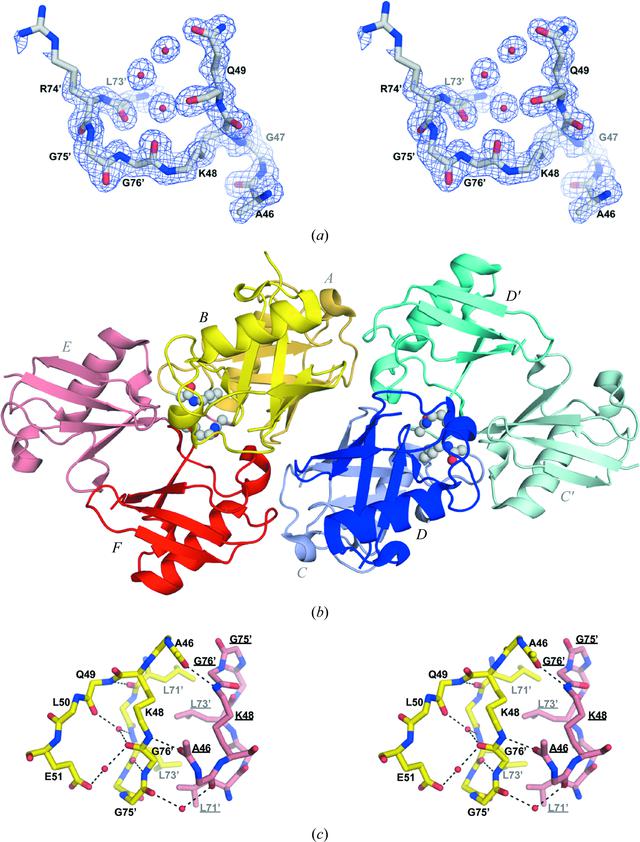 [Figure 2]