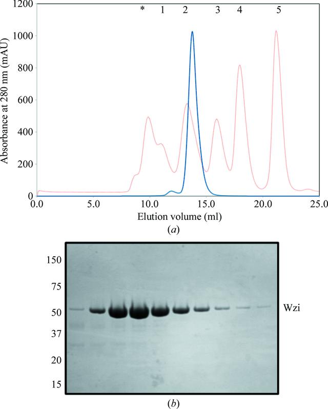 [Figure 2]