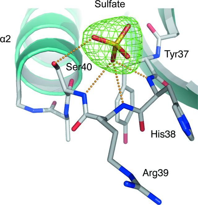 [Figure 3]