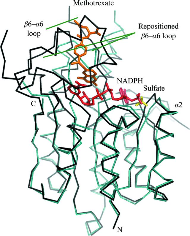 [Figure 4]