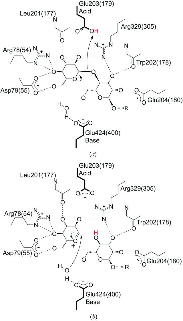 [Figure 1]