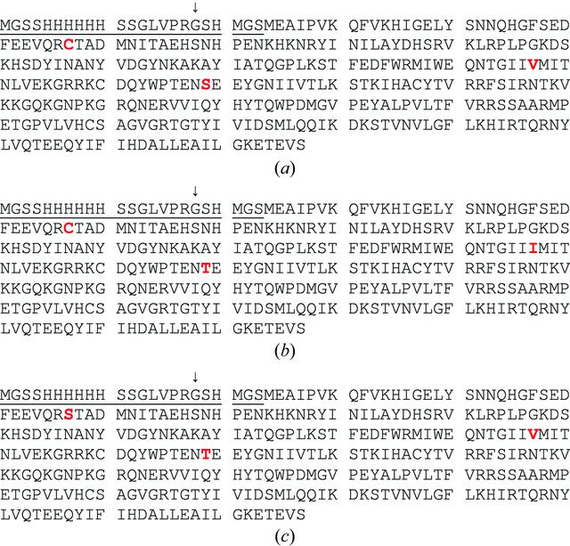 [Figure 2]