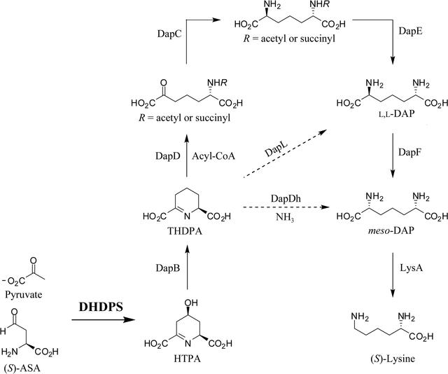 [Figure 1]