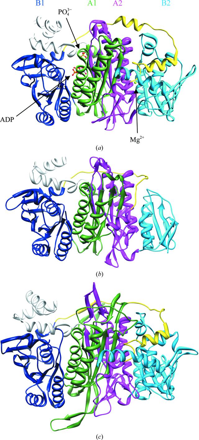 [Figure 1]