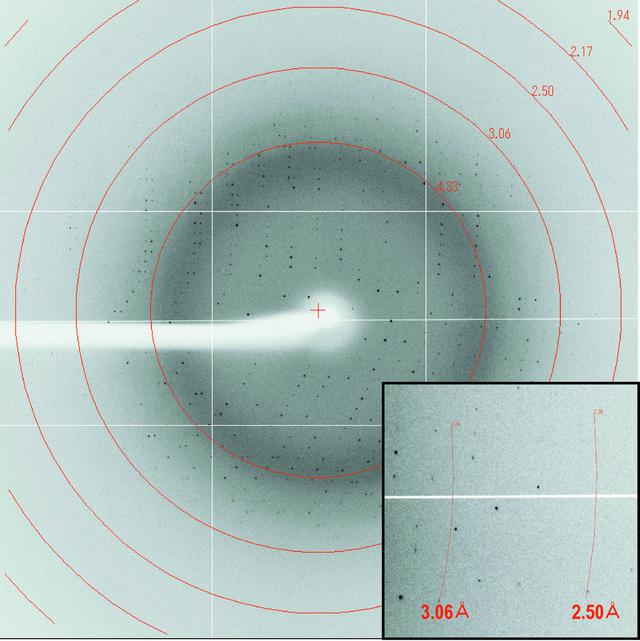 [Figure 2]