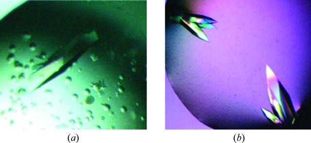 [Figure 2]