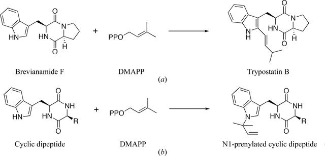 [Figure 1]