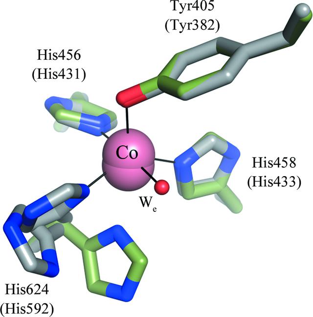 [Figure 10]