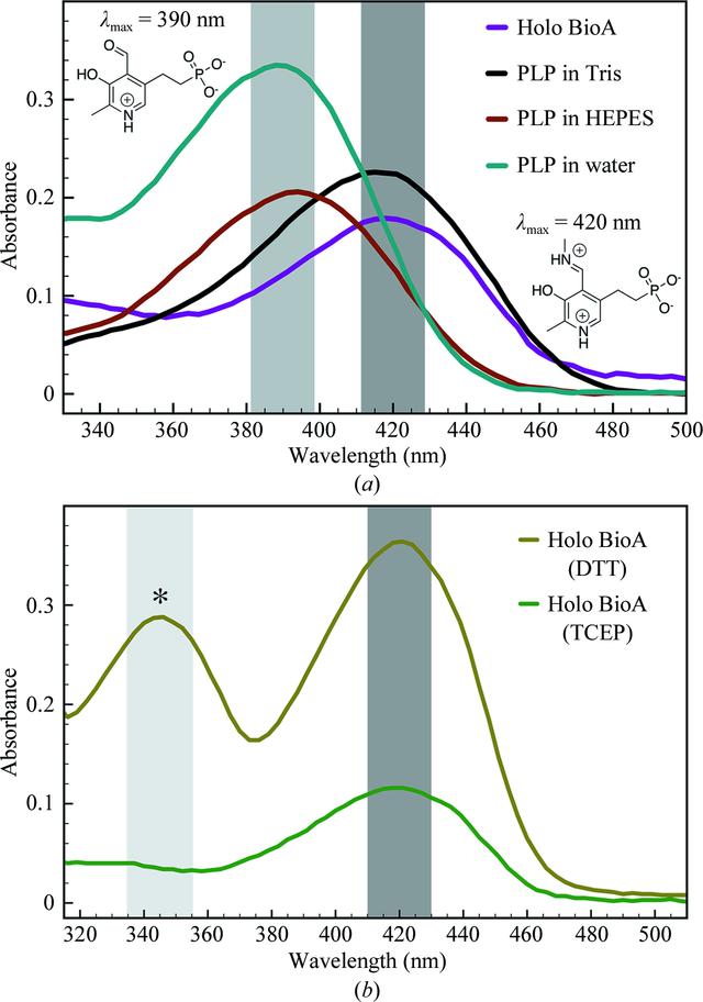 [Figure 2]