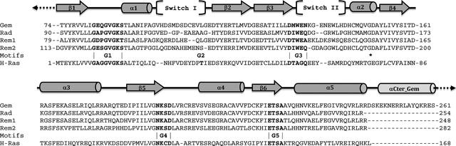 (IUCr) Structure Of The GDP-bound G Domain Of The RGK Protein Rem2