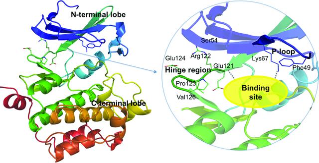 [Figure 1]